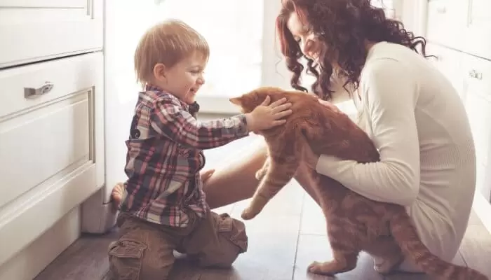 Mother Playing With Child And Cat On Floor Mother Playing With Child And Cat On Floor