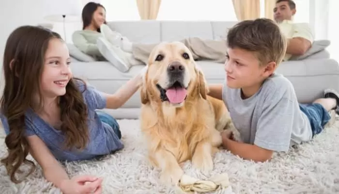 Siblings Petting Dog Siblings Petting Dog